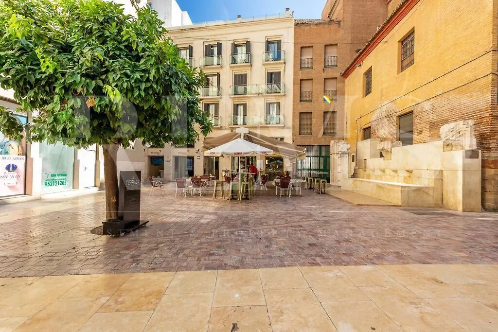 Delightful And Bright Apartment In Center By Rems Málaga